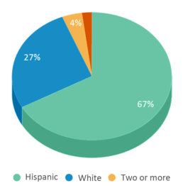 This chart displays the percentage breakdown of students of all ethnic groups in San Diego Neighborhood Homeschools. This chart displays the percentage breakdown of students of all ethnic groups in San Diego Neighborhood Homeschools.