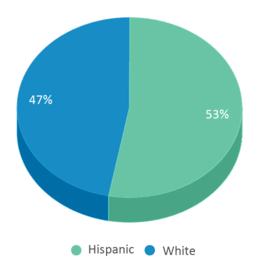 This chart displays the percentage breakdown of students of all ethnic groups in Holly Junior High School. This chart displays the percentage breakdown of students of all ethnic groups in Holly Junior High School.