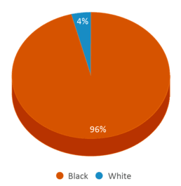 This chart displays the percentage breakdown of students of all ethnic groups in Wirth School Of Choice. This chart displays the percentage breakdown of students of all ethnic groups in Wirth School Of Choice.
