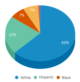 This chart displays the percentage breakdown of students of all ethnic groups in Forts Pond Elementary School. This chart displays the percentage breakdown of students of all ethnic groups in Forts Pond Elementary School.
