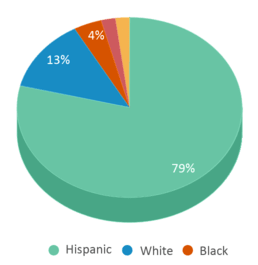 This chart displays the percentage breakdown of students of all ethnic groups in Sst Corpus Christi. This chart displays the percentage breakdown of students of all ethnic groups in Sst Corpus Christi.