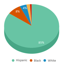 This chart displays the percentage breakdown of students of all ethnic groups in Mclaughlin Strickland Elementary School. This chart displays the percentage breakdown of students of all ethnic groups in Mclaughlin Strickland Elementary School.