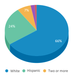 This chart displays the percentage breakdown of students of all ethnic groups in Good Beginnings Center. This chart displays the percentage breakdown of students of all ethnic groups in Good Beginnings Center.