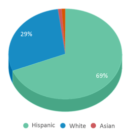 This chart displays the percentage breakdown of students of all ethnic groups in Boyd Elementary School. This chart displays the percentage breakdown of students of all ethnic groups in Boyd Elementary School.
