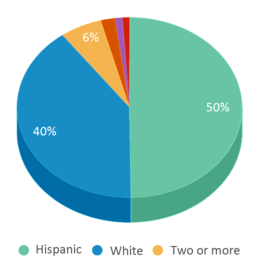 This chart displays the percentage breakdown of students of all ethnic groups in Bennett High School. This chart displays the percentage breakdown of students of all ethnic groups in Bennett High School.