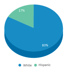 This chart displays the percentage breakdown of students of all ethnic groups in Jamestown Elementary School. This chart displays the percentage breakdown of students of all ethnic groups in Jamestown Elementary School.