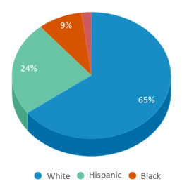 This chart displays the percentage breakdown of students of all ethnic groups in Palmer Night School. This chart displays the percentage breakdown of students of all ethnic groups in Palmer Night School.