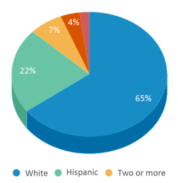 This chart displays the percentage breakdown of students of all ethnic groups in Brown International Academy. This chart displays the percentage breakdown of students of all ethnic groups in Brown International Academy.