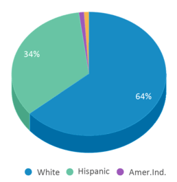 This chart displays the percentage breakdown of students of all ethnic groups in Fowler High School. This chart displays the percentage breakdown of students of all ethnic groups in Fowler High School.