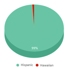 This chart displays the percentage breakdown of students of all ethnic groups in Ofelia Diaz Rodriguez. This chart displays the percentage breakdown of students of all ethnic groups in Ofelia Diaz Rodriguez.