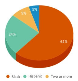 This chart displays the percentage breakdown of students of all ethnic groups in Community Preparatory Academy. This chart displays the percentage breakdown of students of all ethnic groups in Community Preparatory Academy.