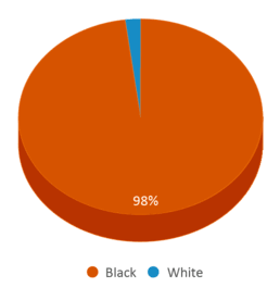 This chart displays the percentage breakdown of students of all ethnic groups in Notten School For Science, Technology, Engineering. This chart displays the percentage breakdown of students of all ethnic groups in Notten School For Science, Technology, Engineering.