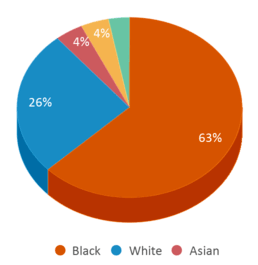 This chart displays the percentage breakdown of students of all ethnic groups in Campus International School. This chart displays the percentage breakdown of students of all ethnic groups in Campus International School.
