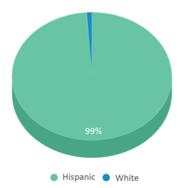 This chart displays the percentage breakdown of students of all ethnic groups in Dr. Alfredo M. Aguayo. This chart displays the percentage breakdown of students of all ethnic groups in Dr. Alfredo M. Aguayo.