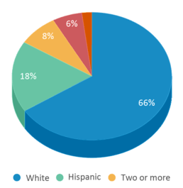 This chart displays the percentage breakdown of students of all ethnic groups in Great Hearts Academies - Archway Veritas. This chart displays the percentage breakdown of students of all ethnic groups in Great Hearts Academies - Archway Veritas.