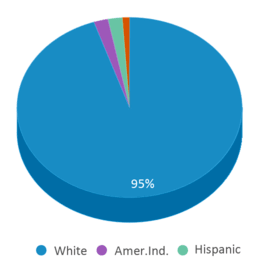 This chart displays the percentage breakdown of students of all ethnic groups in So Aroostook School. This chart displays the percentage breakdown of students of all ethnic groups in So Aroostook School.