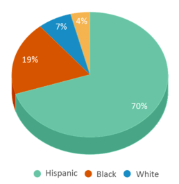 This chart displays the percentage breakdown of students of all ethnic groups in South End Middle School. This chart displays the percentage breakdown of students of all ethnic groups in South End Middle School.