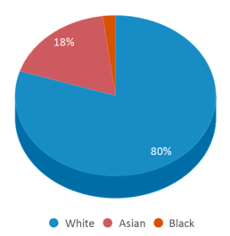 This chart displays the percentage breakdown of students of all ethnic groups in Bridge Academy West. This chart displays the percentage breakdown of students of all ethnic groups in Bridge Academy West.