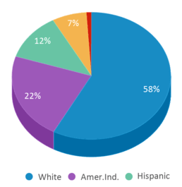 This chart displays the percentage breakdown of students of all ethnic groups in Wind River High School. This chart displays the percentage breakdown of students of all ethnic groups in Wind River High School.