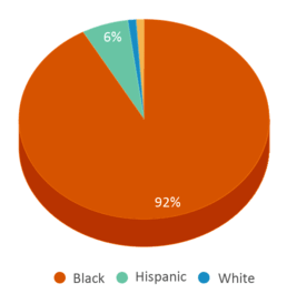 This chart displays the percentage breakdown of students of all ethnic groups in My Choice Academy. This chart displays the percentage breakdown of students of all ethnic groups in My Choice Academy.