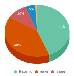 This chart displays the percentage breakdown of students of all ethnic groups in Adams Elementary School. This chart displays the percentage breakdown of students of all ethnic groups in Adams Elementary School.
