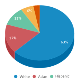 This chart displays the percentage breakdown of students of all ethnic groups in Patriot Oaks Academy. This chart displays the percentage breakdown of students of all ethnic groups in Patriot Oaks Academy.