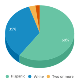 This chart displays the percentage breakdown of students of all ethnic groups in Pitts Elementary School. This chart displays the percentage breakdown of students of all ethnic groups in Pitts Elementary School.