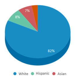 This chart displays the percentage breakdown of students of all ethnic groups in Ames Elementary School. This chart displays the percentage breakdown of students of all ethnic groups in Ames Elementary School.