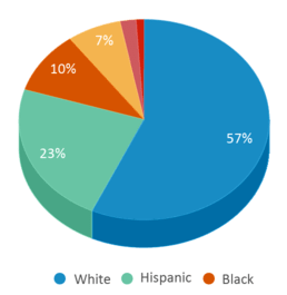 This chart displays the percentage breakdown of students of all ethnic groups in Academy Early Childhood Center. This chart displays the percentage breakdown of students of all ethnic groups in Academy Early Childhood Center.