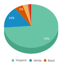 This chart displays the percentage breakdown of students of all ethnic groups in Bonham Pre-k School. This chart displays the percentage breakdown of students of all ethnic groups in Bonham Pre-k School.