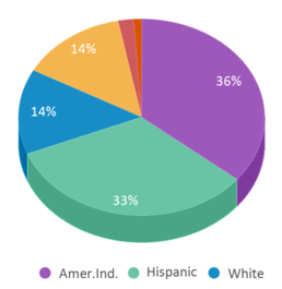 This chart displays the percentage breakdown of students of all ethnic groups in Quil Ceda Tulalip Elementary School. This chart displays the percentage breakdown of students of all ethnic groups in Quil Ceda Tulalip Elementary School.
