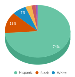 This chart displays the percentage breakdown of students of all ethnic groups in Fine Arts Academy. This chart displays the percentage breakdown of students of all ethnic groups in Fine Arts Academy.