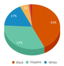 This chart displays the percentage breakdown of students of all ethnic groups in Appalachian Academy At Middle Fork. This chart displays the percentage breakdown of students of all ethnic groups in Appalachian Academy At Middle Fork.