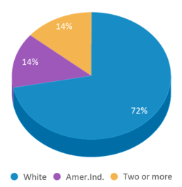 This chart displays the percentage breakdown of students of all ethnic groups in Carlton Landing Academy High School. This chart displays the percentage breakdown of students of all ethnic groups in Carlton Landing Academy High School.