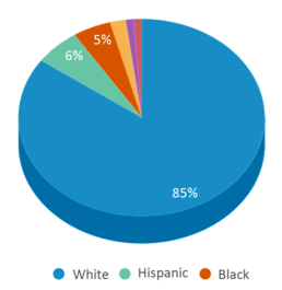 This chart displays the percentage breakdown of students of all ethnic groups in Lakes And Bridges Charter School. This chart displays the percentage breakdown of students of all ethnic groups in Lakes And Bridges Charter School.