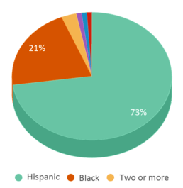 This chart displays the percentage breakdown of students of all ethnic groups in Stella Elementary Charter Academy. This chart displays the percentage breakdown of students of all ethnic groups in Stella Elementary Charter Academy.