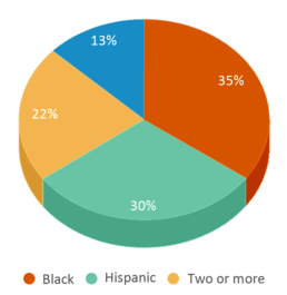 This chart displays the percentage breakdown of students of all ethnic groups in Putnam Heights Academy Middle School. This chart displays the percentage breakdown of students of all ethnic groups in Putnam Heights Academy Middle School.