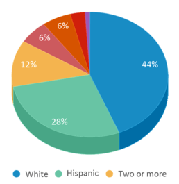 This chart displays the percentage breakdown of students of all ethnic groups in Dessie F Evans Elementary School. This chart displays the percentage breakdown of students of all ethnic groups in Dessie F Evans Elementary School.