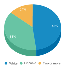 This chart displays the percentage breakdown of students of all ethnic groups in Crosby Educational Academy. This chart displays the percentage breakdown of students of all ethnic groups in Crosby Educational Academy.