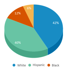 This chart displays the percentage breakdown of students of all ethnic groups in Global Leadership Academy. This chart displays the percentage breakdown of students of all ethnic groups in Global Leadership Academy.