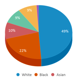 This chart displays the percentage breakdown of students of all ethnic groups in Journey Middle School. This chart displays the percentage breakdown of students of all ethnic groups in Journey Middle School.