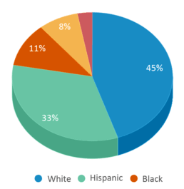 This chart displays the percentage breakdown of students of all ethnic groups in Bristol Arts And Innovation Magnet School. This chart displays the percentage breakdown of students of all ethnic groups in Bristol Arts And Innovation Magnet School.