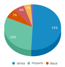 This chart displays the percentage breakdown of students of all ethnic groups in Belmonte Steam Academy. This chart displays the percentage breakdown of students of all ethnic groups in Belmonte Steam Academy.