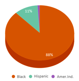 This chart displays the percentage breakdown of students of all ethnic groups in Michelle Obama Elementary School. This chart displays the percentage breakdown of students of all ethnic groups in Michelle Obama Elementary School.