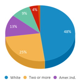 This chart displays the percentage breakdown of students of all ethnic groups in Miami Jr High School. This chart displays the percentage breakdown of students of all ethnic groups in Miami Jr High School.