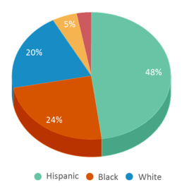This chart displays the percentage breakdown of students of all ethnic groups in Lone Star Online Academy. This chart displays the percentage breakdown of students of all ethnic groups in Lone Star Online Academy.
