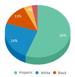 This chart displays the percentage breakdown of students of all ethnic groups in Francis T. Maloney High School. This chart displays the percentage breakdown of students of all ethnic groups in Francis T. Maloney High School.