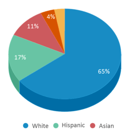 This chart displays the percentage breakdown of students of all ethnic groups in Tashua School. This chart displays the percentage breakdown of students of all ethnic groups in Tashua School.