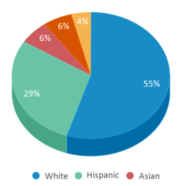 This chart displays the percentage breakdown of students of all ethnic groups in Charles Wright School. This chart displays the percentage breakdown of students of all ethnic groups in Charles Wright School.