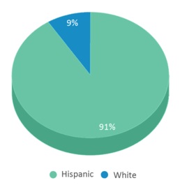 This chart displays the percentage breakdown of students of all ethnic groups in Uvalde Cisd Virtual Academy. This chart displays the percentage breakdown of students of all ethnic groups in Uvalde Cisd Virtual Academy.